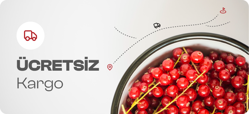 Ücretsiz Kargo